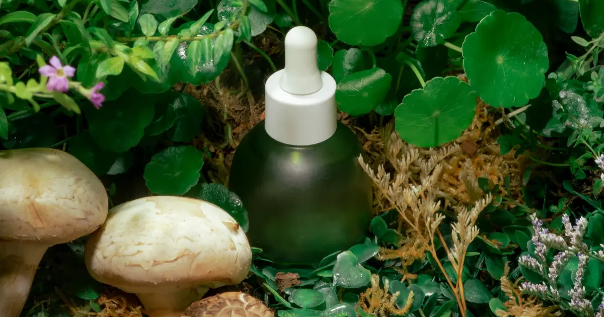 Naturalne Kosmetyki: Droga do Pięknej Skóry i Naturalnego Blasku